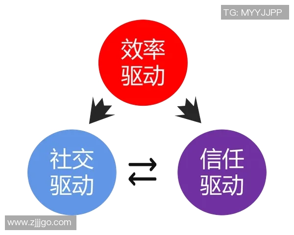 杭州排球队灵活性分析与战术创新的深度探讨