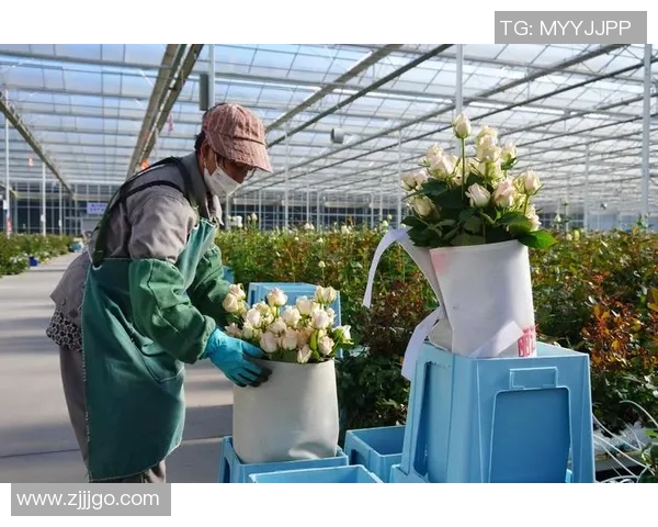 花卉种植技巧与管理方法解析助你打造美丽绿色家园